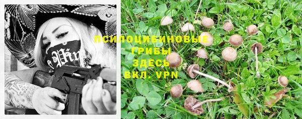 прущий лед Фурманов