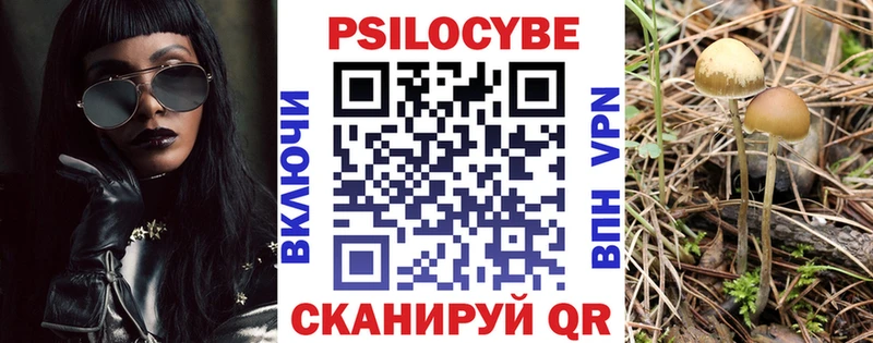 Купить где  Ухта  Галлюциногенные грибы Psilocybe 